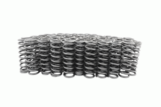 Coil spring